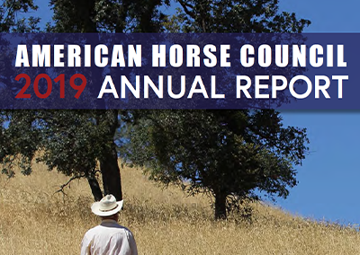 2019 Annual Report