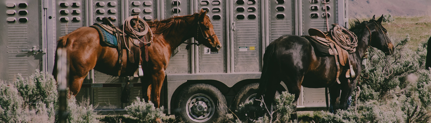 Top 10 Best Horse Equipment Shops in Pasadena, CA - Last Updated