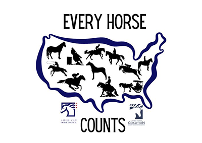 Every-Horse-Counts-Featured