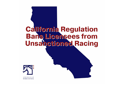 American Horse Council Supports California Horse Racing Board Regulation