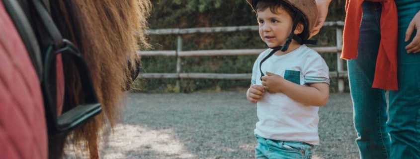 Picture of a pony and small child. Child looks excited to ride. Holiday gift-giving and tax deduction tips.