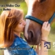 A woman kissing a horse. National Day of the Horse