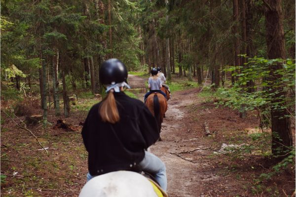 Horseback riding on the trail