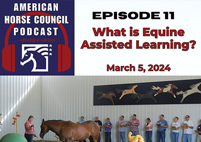 Episode 11: What is Equine Assisted Learning?