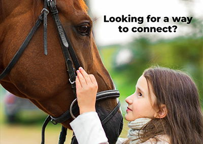 One Stop Shop: The Source Book Looks for Submissions of Equine Educational Resources