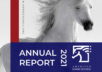 2021 Annual Report