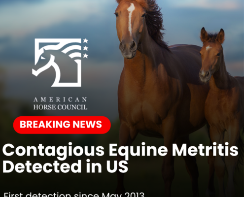 Contagious Equine Metritis