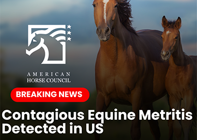 Breaking News: Contagious Equine Metritis Alert