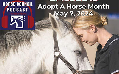 Episode 13: Adopt a Horse Month