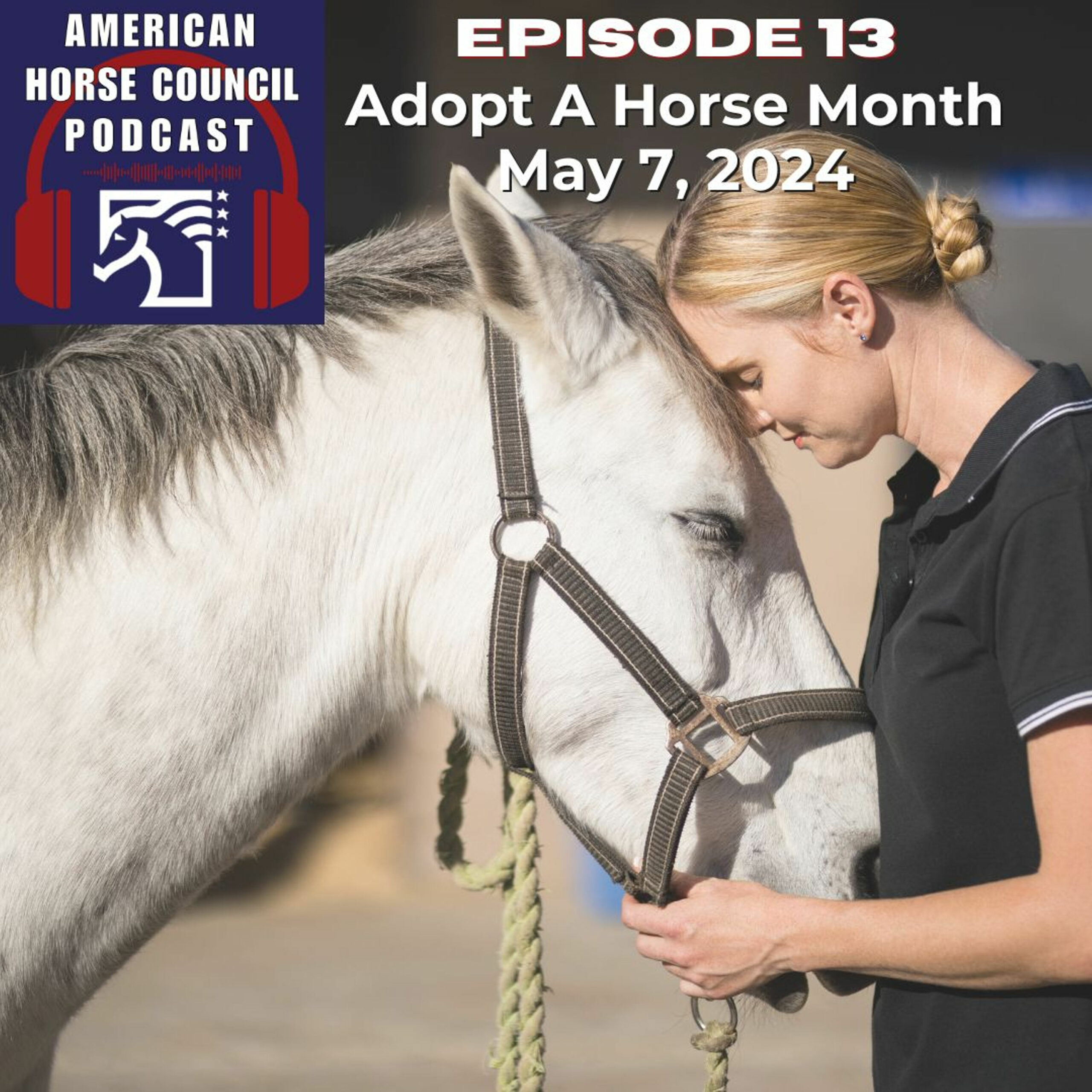 Episode 13 Adopt a Horse Month