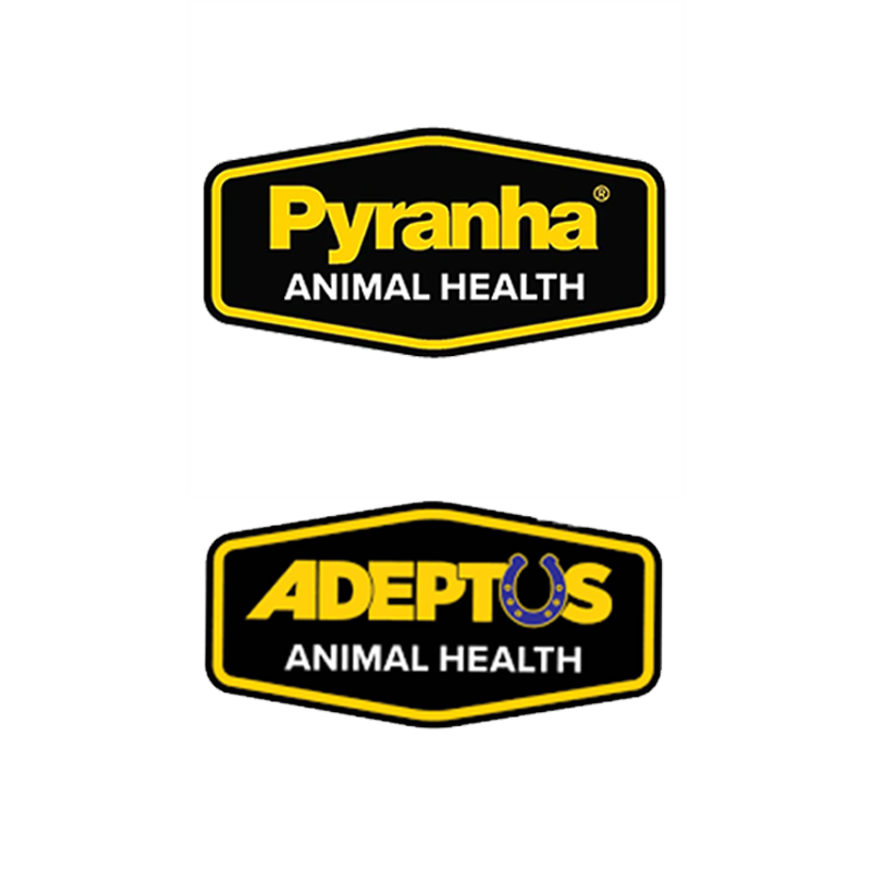 Pyranha-Adeptus
