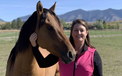 Episode 3: Helping Horses in Need