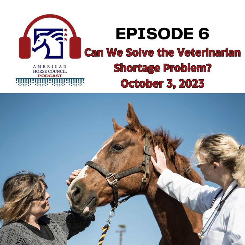 Episode 6: Can We Solve the Veterinarian Shortage Problem?