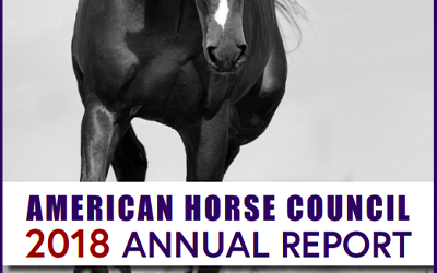 2018 AHC Annual Report