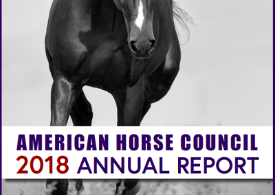 2018 AHC Annual Report