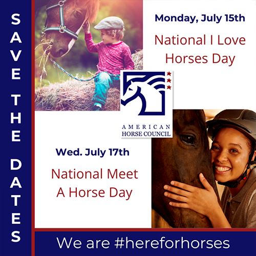 National-I-Love-Horses-Day-Featured