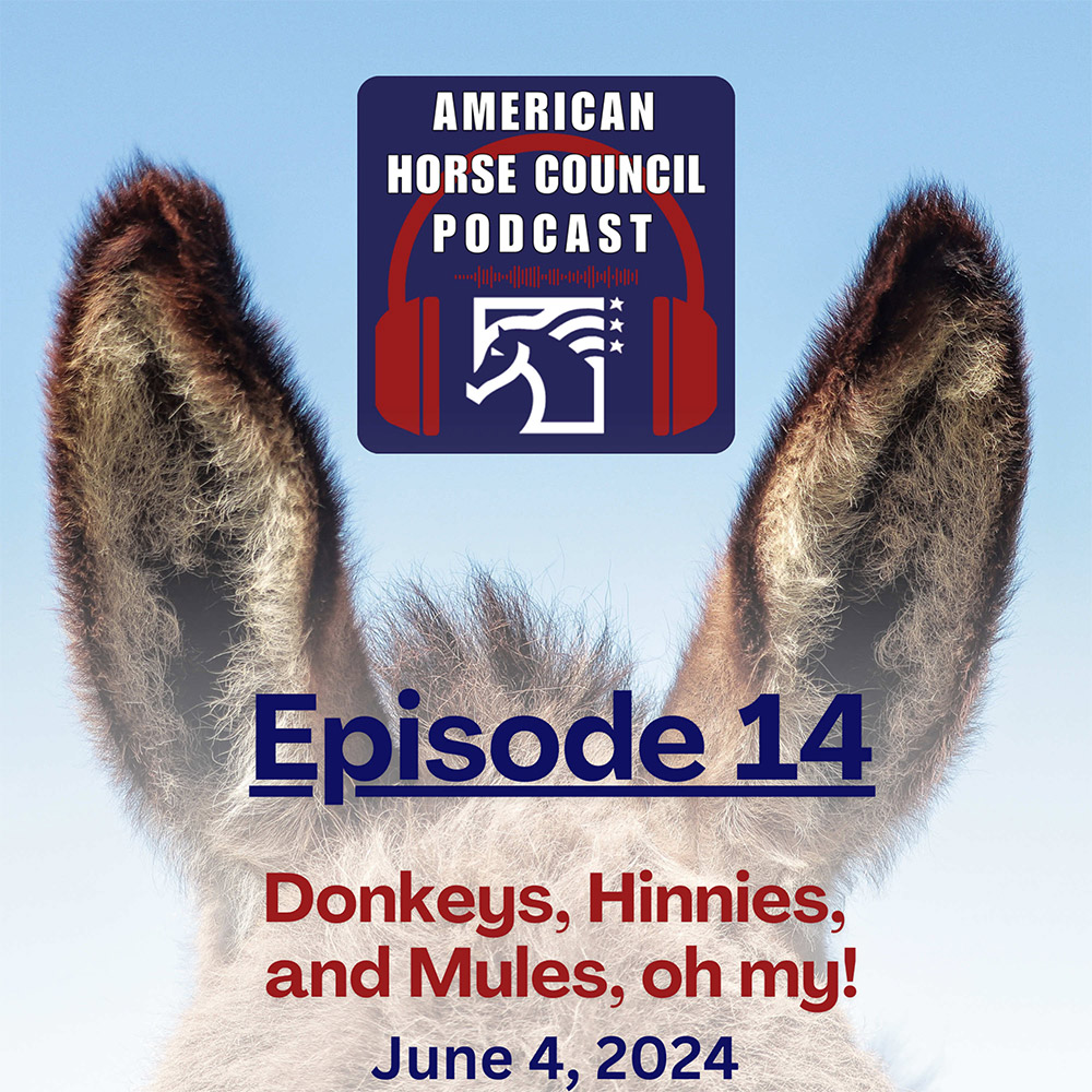 Episode 14: Donkeys, Hinnies, Mules, oh my!