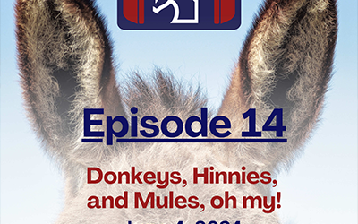 Episode 14: Donkeys, Hinnies, and Mules – Oh My!