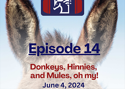 Episode 14: Donkeys, Hinnies, and Mules – Oh My!