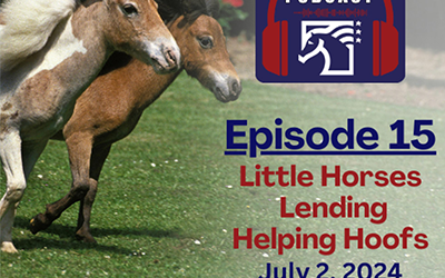 Episode 15: Little Horses Lending Helpful Hoofs