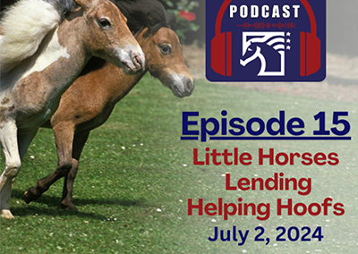 Episode 15: Little Horses Lending Helpful Hoofs