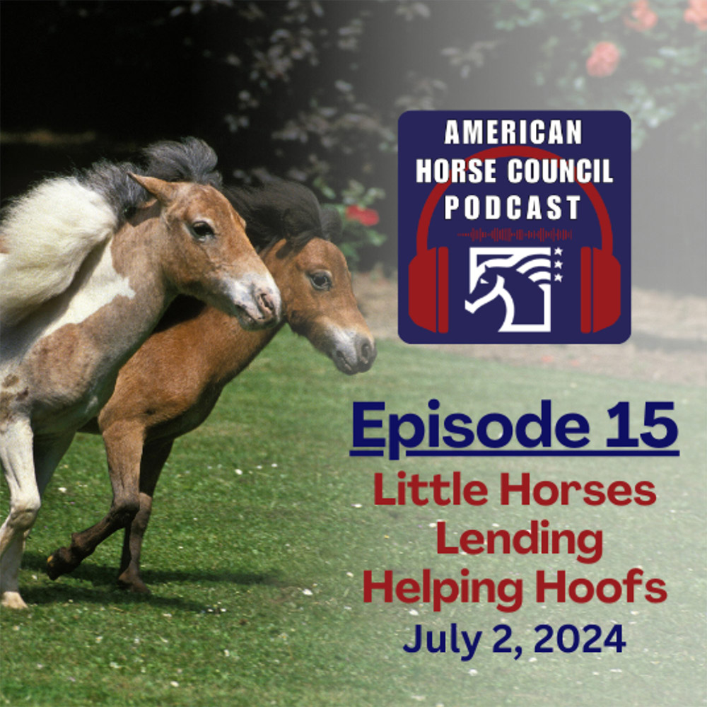 Episode-15-Little-Horses-Lending-Helpful-Hoofs