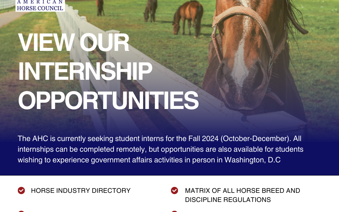 American Horse Council Internship Opportunities