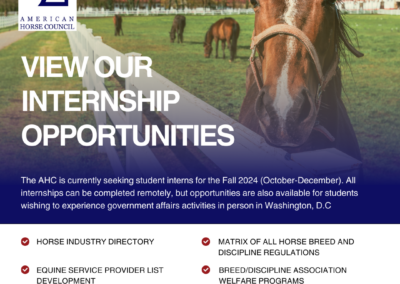 American Horse Council Internship Opportunities