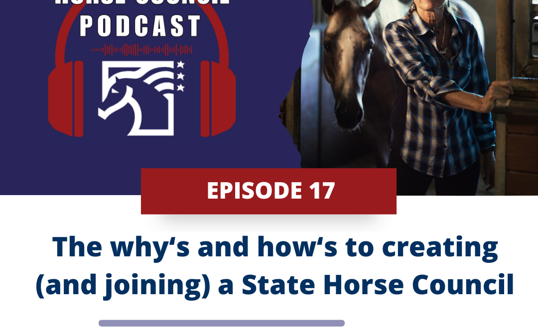 The hows and whys to creating and joining a State Horse Council