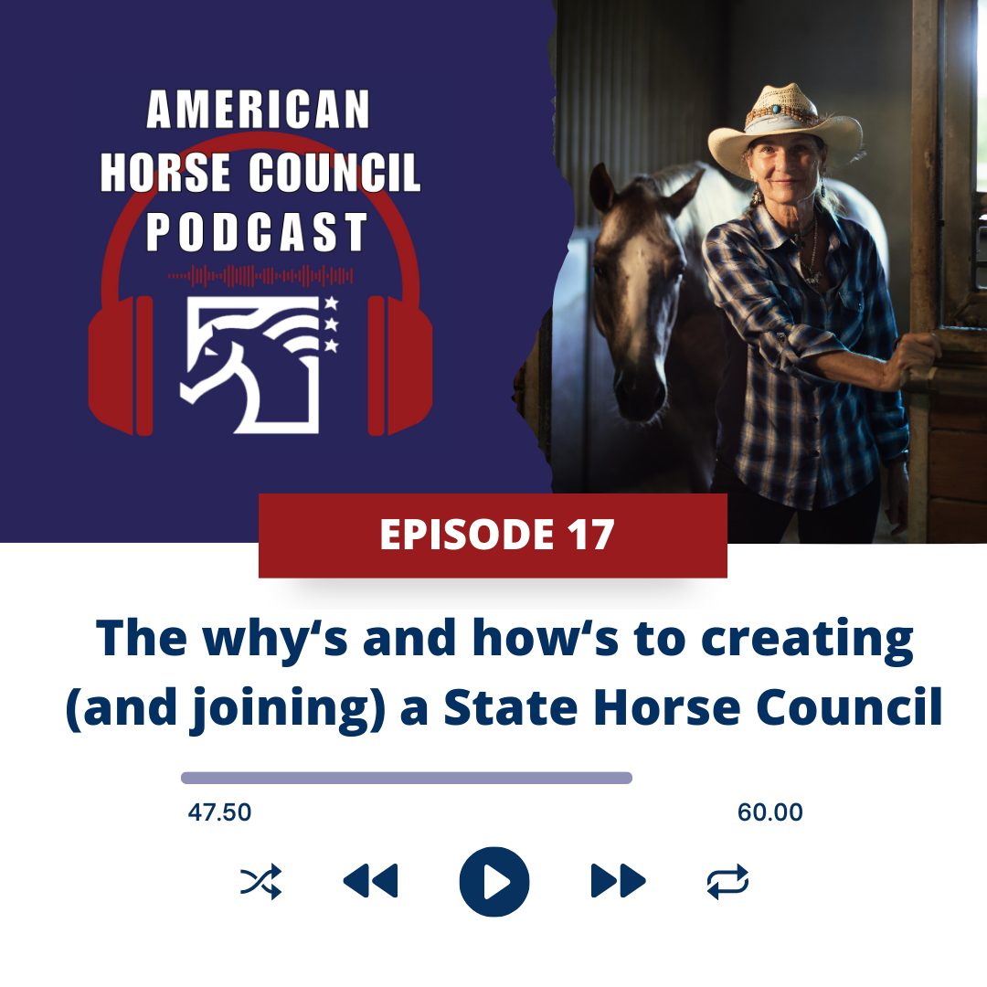 Episode 13 Adopt a Horse Month