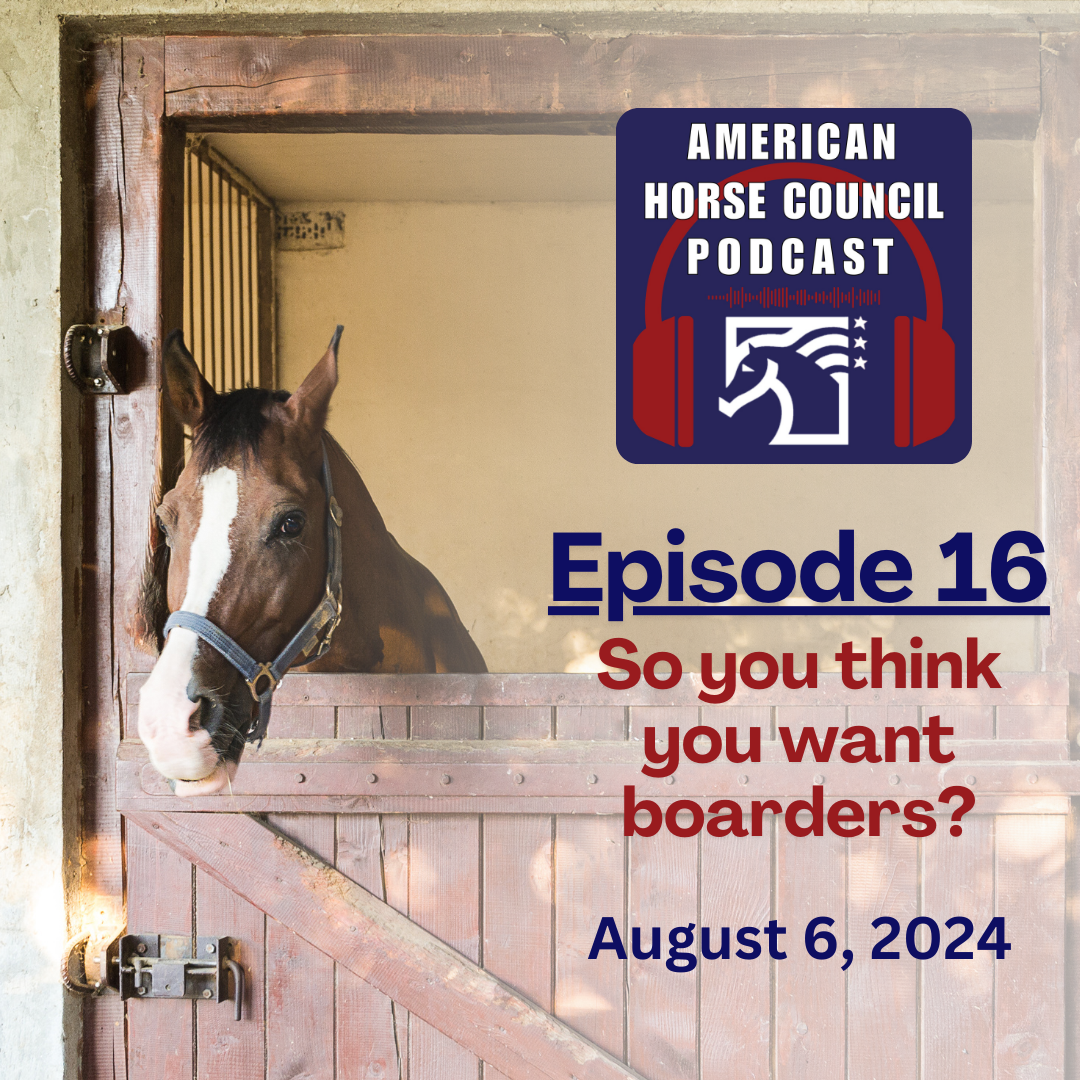 Episode 13 Adopt a Horse Month