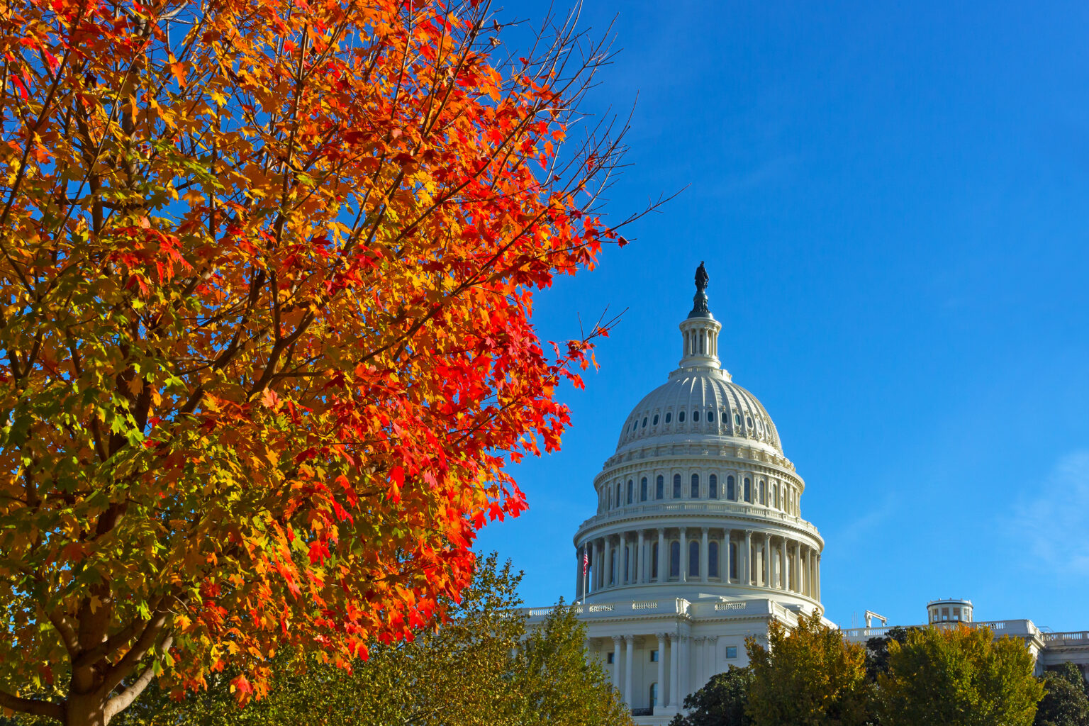 Fall is Coming. Will a Shutdown Follow? The American Horse Council