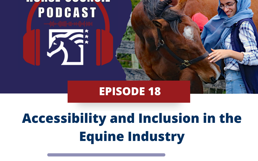 Accessibility and Inclusion in the Equine Industry