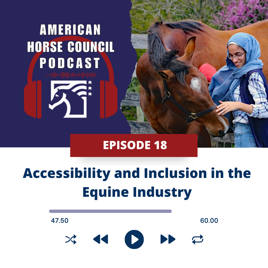 Episode 13 Adopt a Horse Month