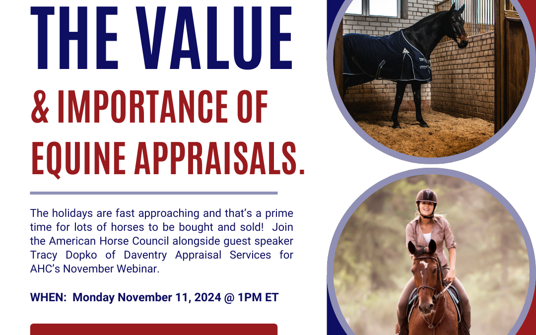 The Value & Importance of Equine Appraisals