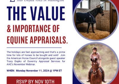 The Value & Importance of Equine Appraisals