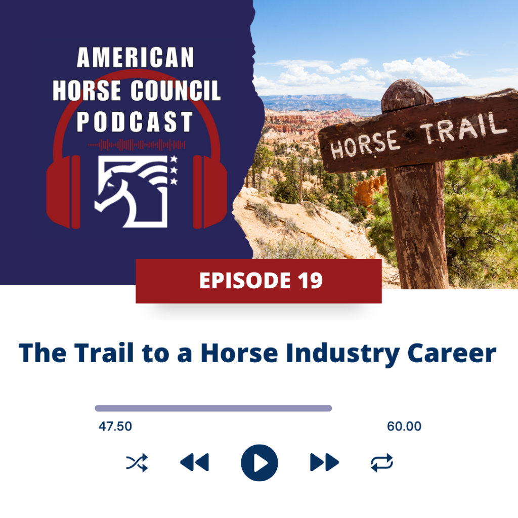 Episode 13 Adopt a Horse Month