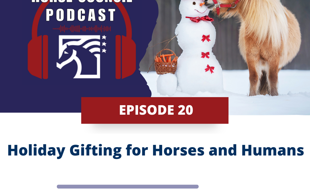 The best holiday gift ideas for horse lovers!