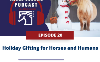 Holiday Gifting for Horses and Humans for December 3, 2024