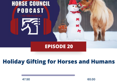 The best holiday gift ideas for horse lovers!