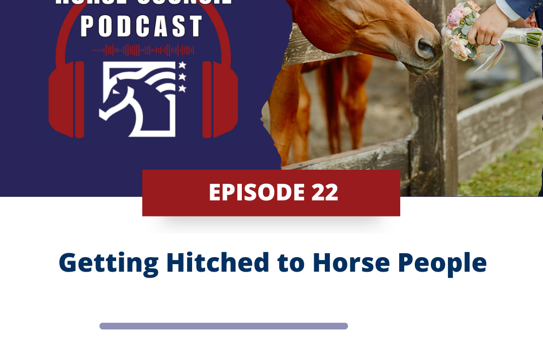 Getting Hitched to Horse People, and Update on the Horse Protection Act for February 4, 2025