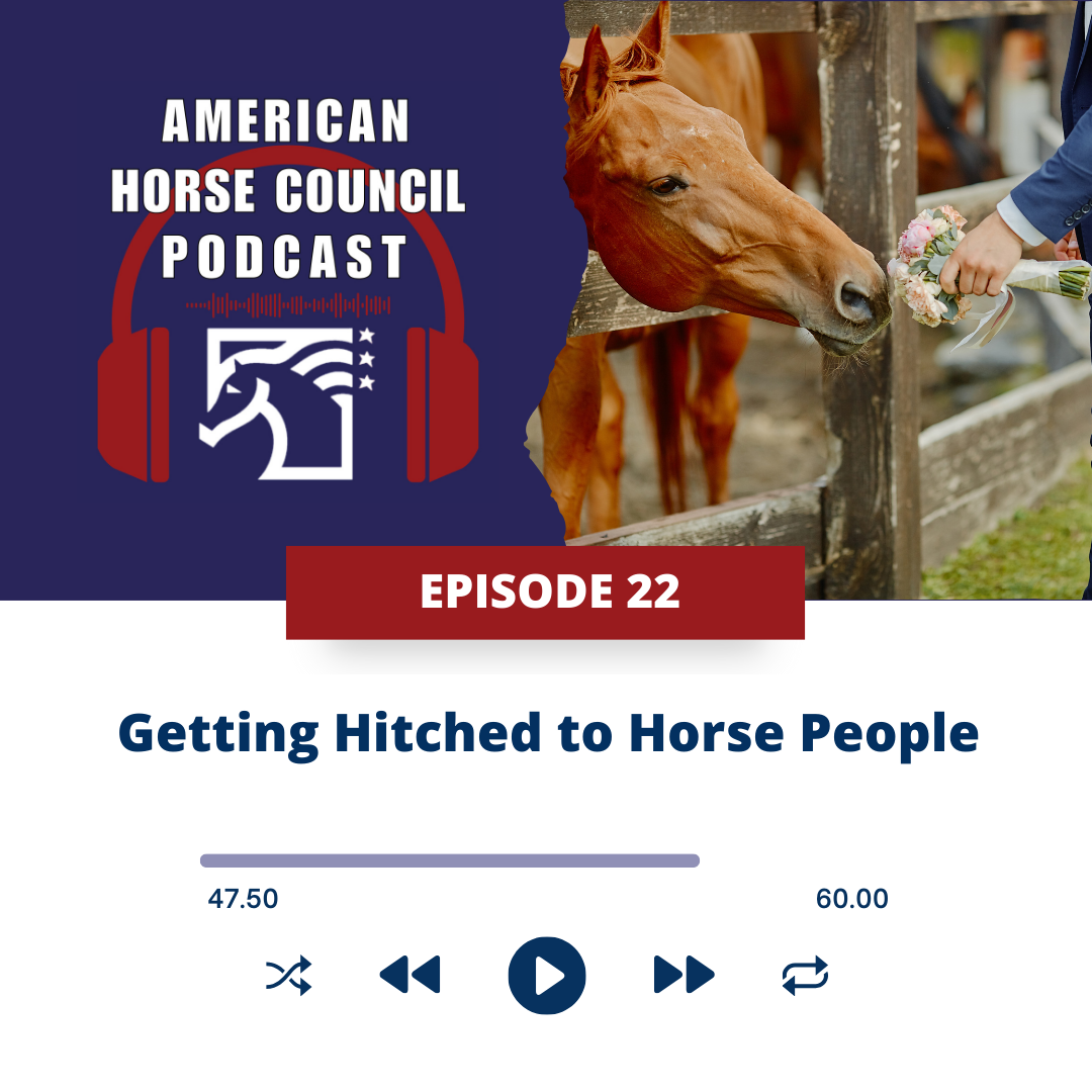 Episode 13 Adopt a Horse Month