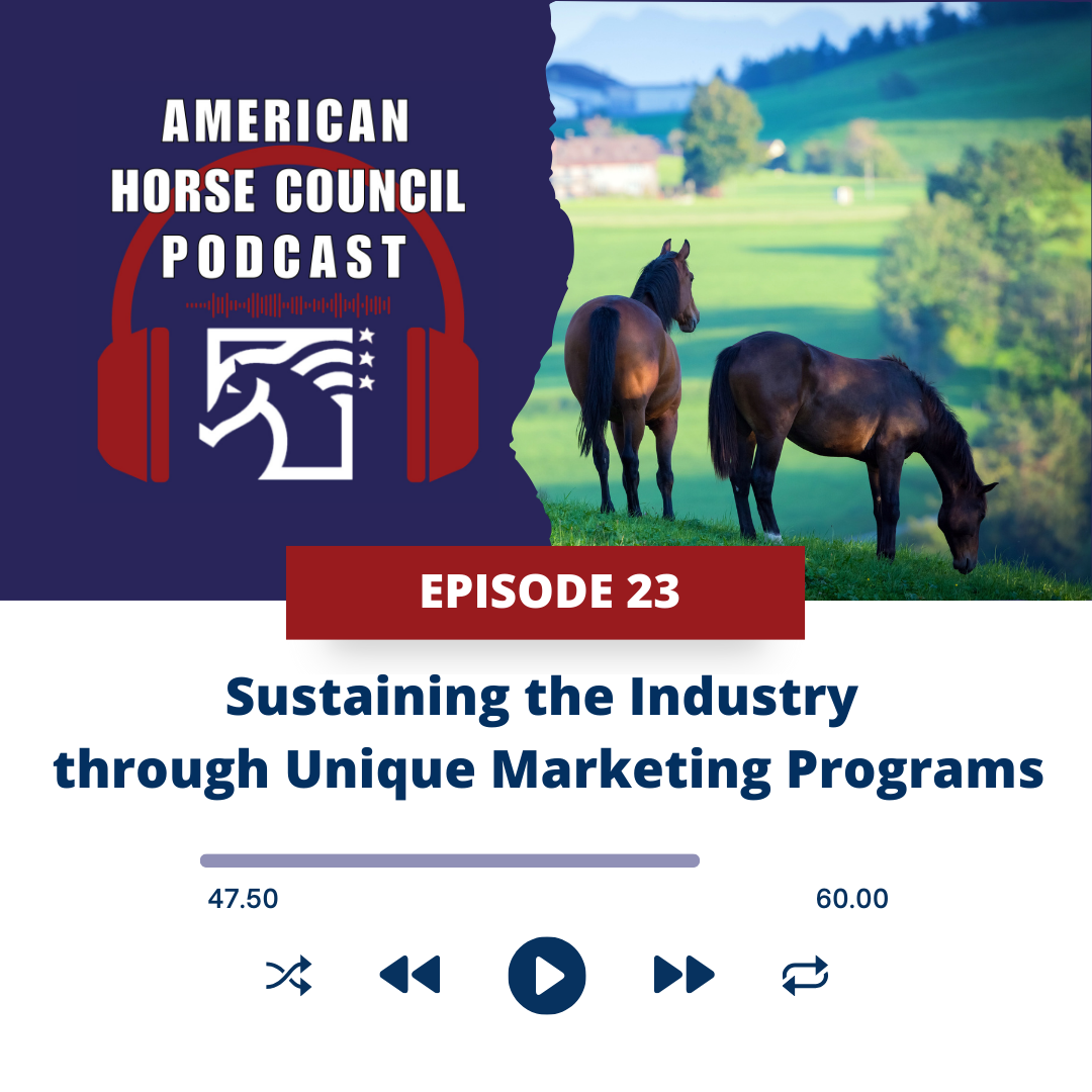 Episode 13 Adopt a Horse Month