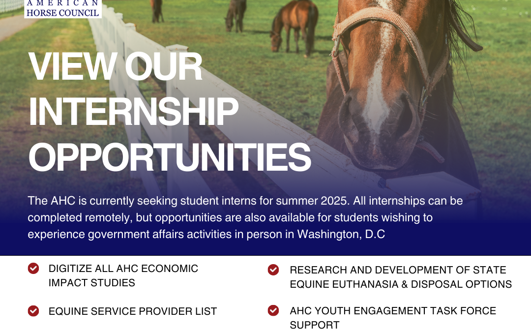 American Horse Council Summer Internship Opportunities