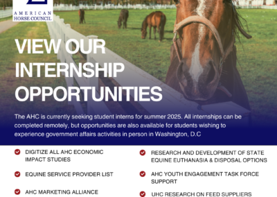 American Horse Council Summer Internship Opportunities