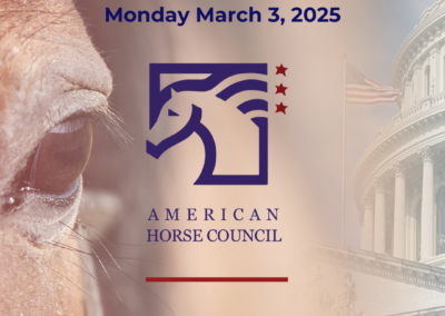 AHC submits formal request to USDA on Horse Protection Act regulations