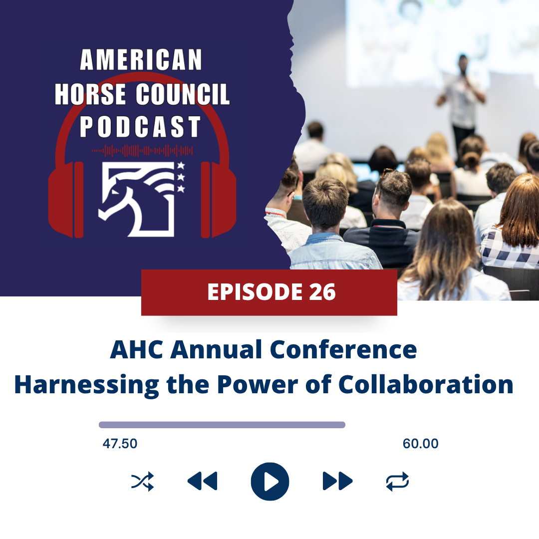 AHC Podcast Episode 26 Episode 13 Adopt a Horse Month