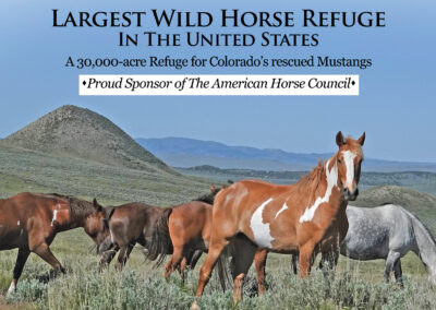 AHC welcomes The Wild Horse Refuge as new Corporate Sponsor