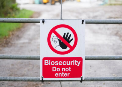 Improving Biosecurity and Disease Prevention in the U.S. Horse Industry