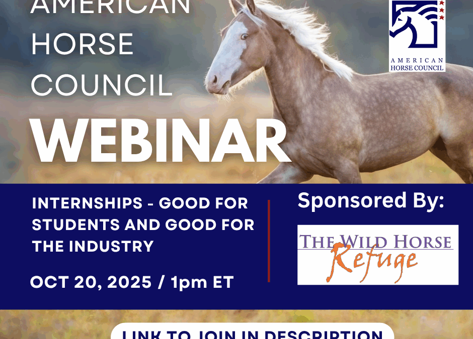 Internships: Good for Students, Good for the Industry